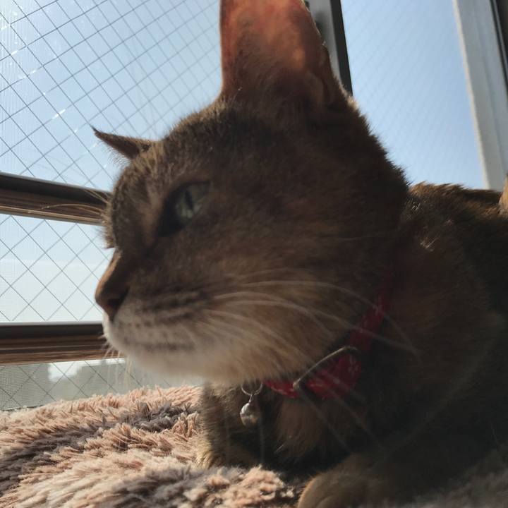 39d8d0ff 1698 4ac0 be6c bd6c0c35f1e7 1550986225892