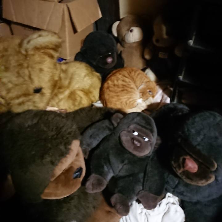 39d8dfb4 47d0 4955 8b9d 1979dad1c982 1607773427461