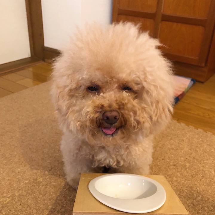 39d8e01a 9c0d 4015 bf2d 559071a9ad6e 1529658616797