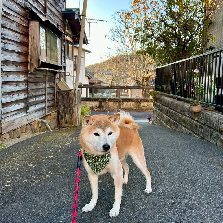 39d93829 6535 474a b065 5b9f37e9e6d5 1700911719752