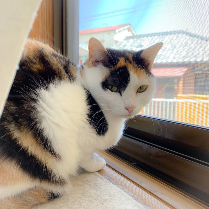 39d97436 f9cd 493b b52d b1b4cfbfa6c9 1560045402739