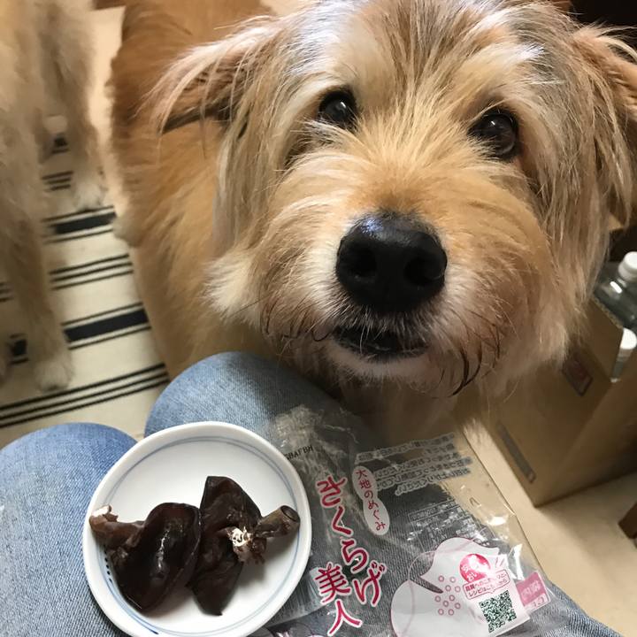 39d981c3 9c57 4e28 b317 3fb6ccfe32ea 1621664608293