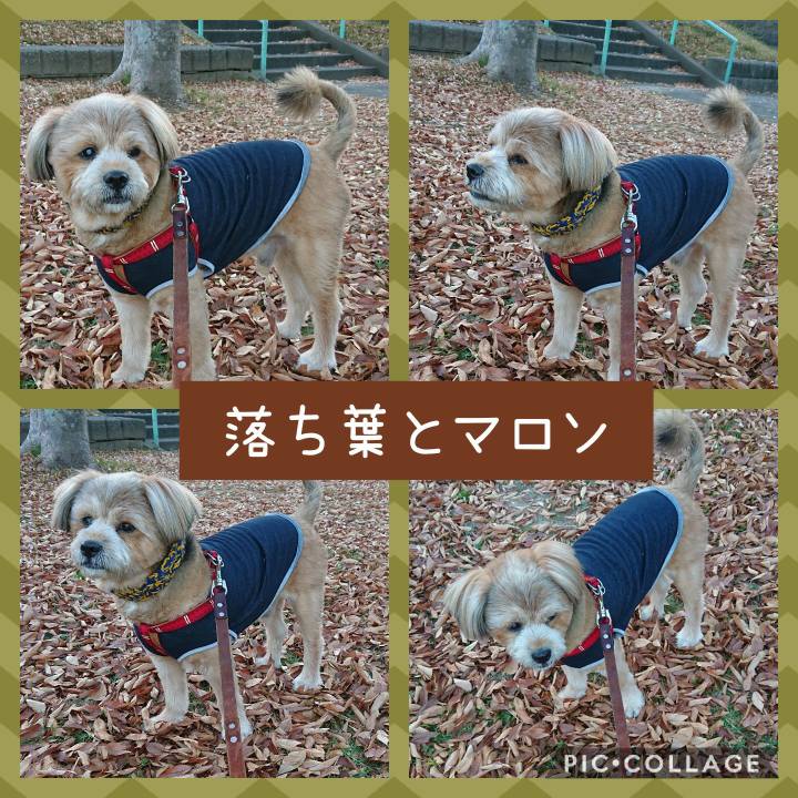 39d984bb f42c 4710 aca5 b5548c7789a2 1605347405987