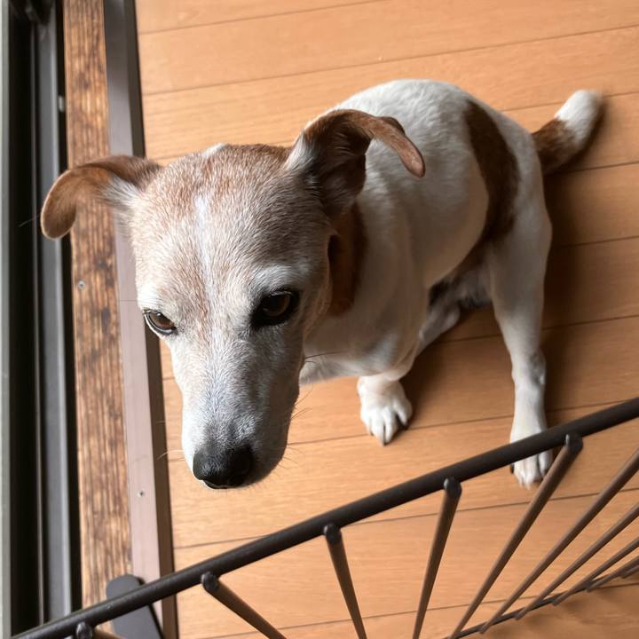 39d9c912 4bc8 48b9 9894 32ce323af83a 1760066508476