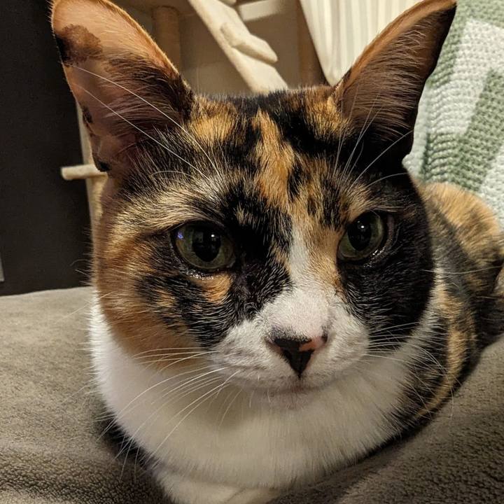 39da059e d263 481f 8bcd 08e2e399c203 1711598418622