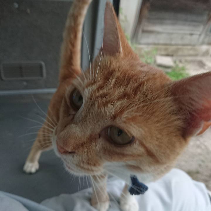 39da6913 5734 4dd4 97a8 486334a29876 1564131795051