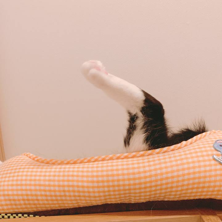 39da780c 8421 4bcc a18d 25789cfddf71 1559901989919