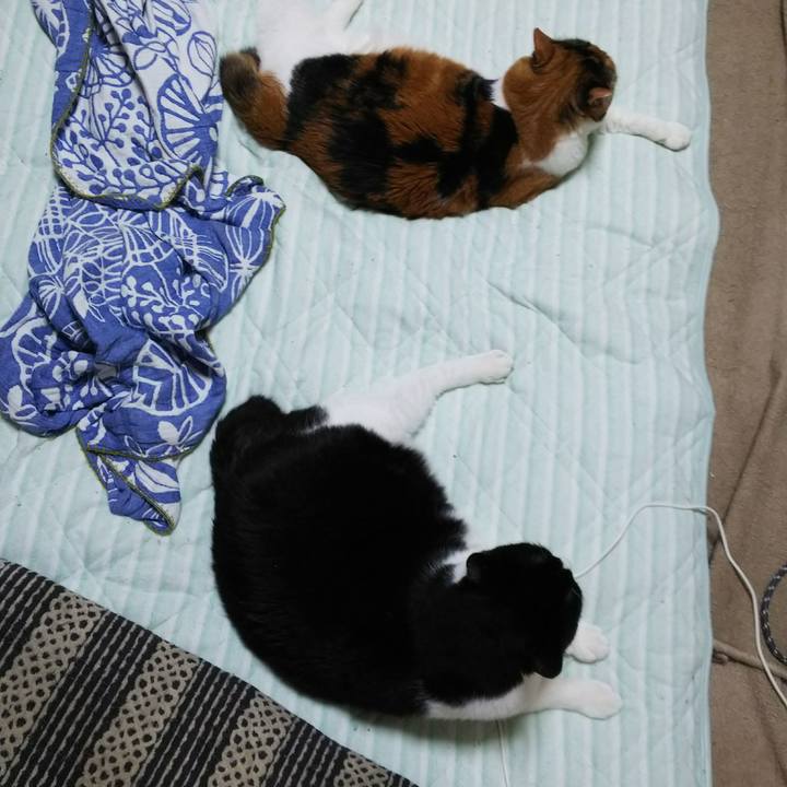 39dac164 8dd7 4d2c a4a9 42d16ad96958 1535659443591