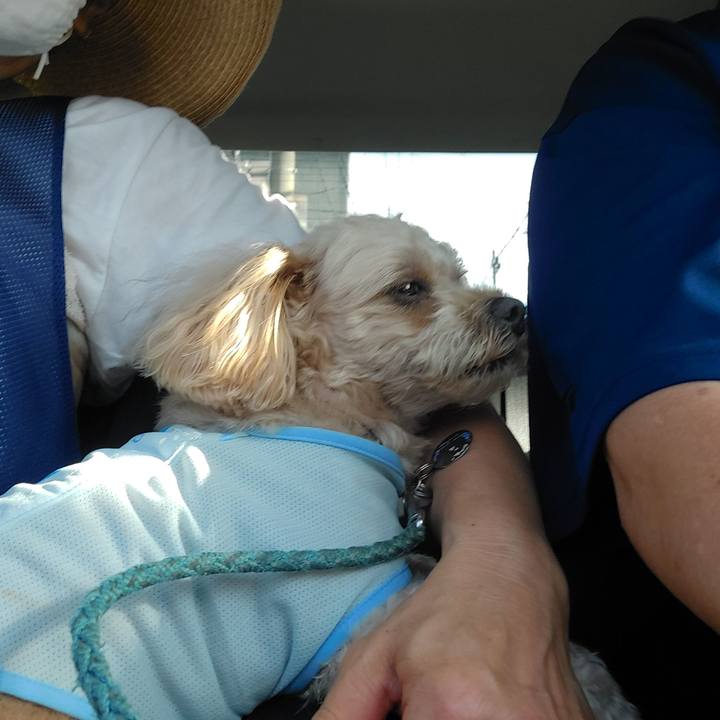 39dad0f6 18dd 4f9d aa94 ec5fb604de6b 1628582089577