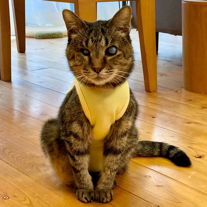 39db405d 3320 4fa9 ac84 bf9dcfaad734 1683075094345