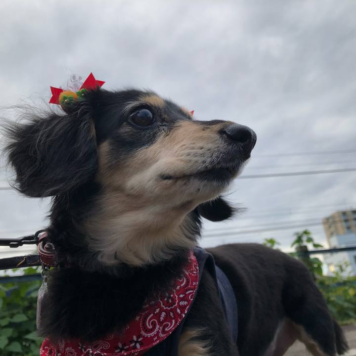 39db61a9 483b 438f b648 abc1f851b6db 1636503485864