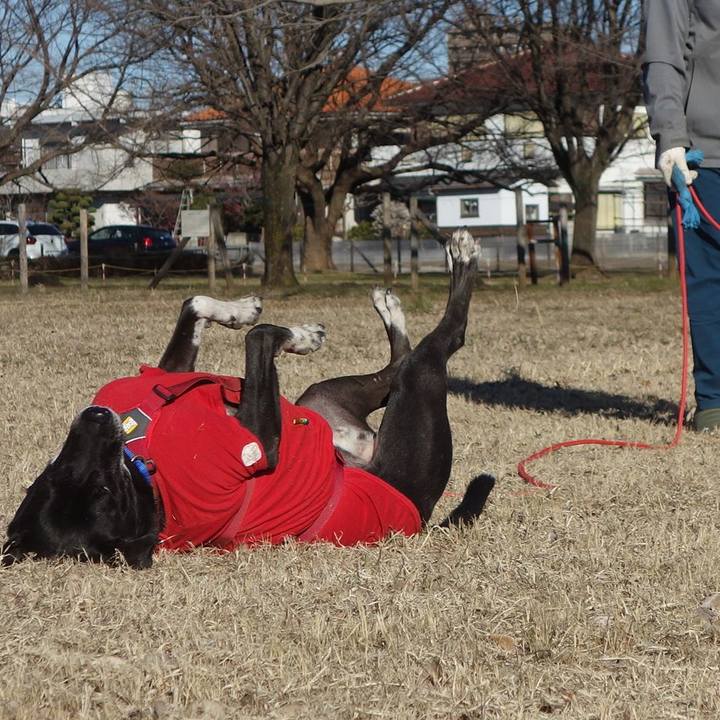 39db9014 22db 4217 8806 cb8402fc87eb 1677030937893