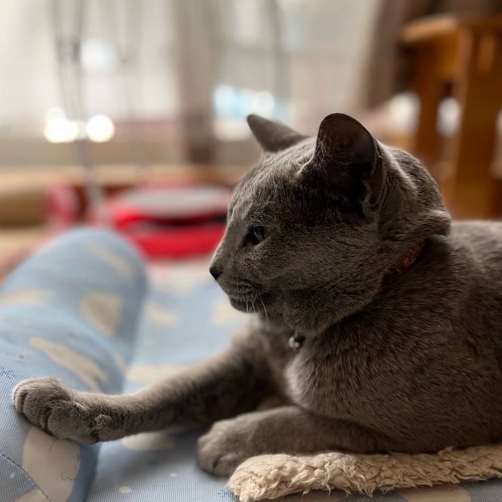 39db9364 b9aa 4d3f 8e31 24edfc4b916e 1650721716762