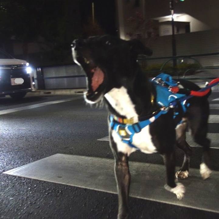 39dbb7a6 ec4a 42ee 99da 899c9ab3f0a1 1609065460224