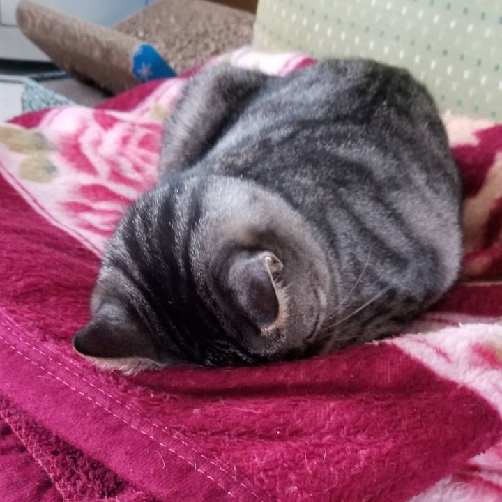 39dbd2d7 ff2a 409d 896d c731b96ab491 1689306862743