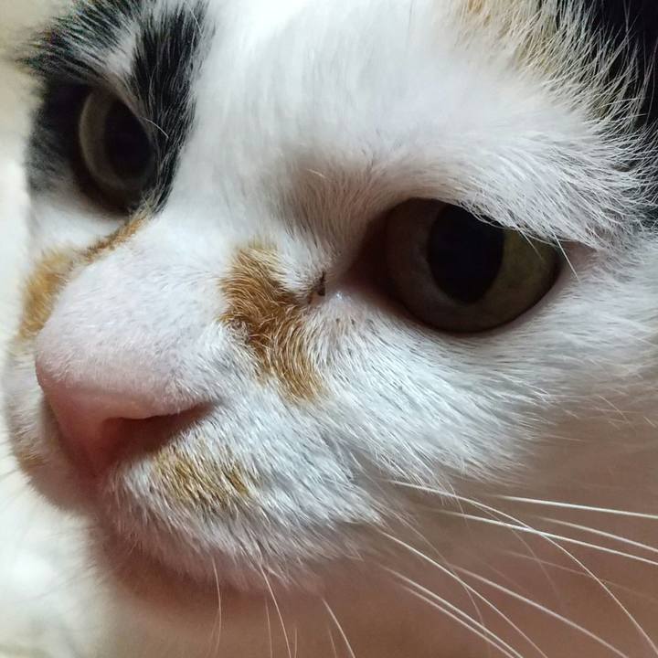 39dc1fc4 79e3 403c a734 5574749c2b07 1668857387873