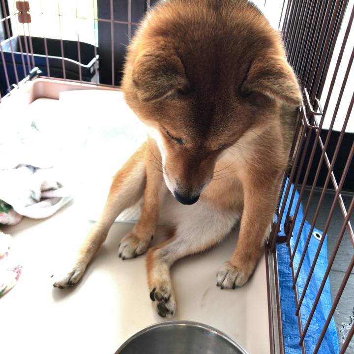 39dc31c4 675e 474e 8e42 3e654eb1e785 1530746511052