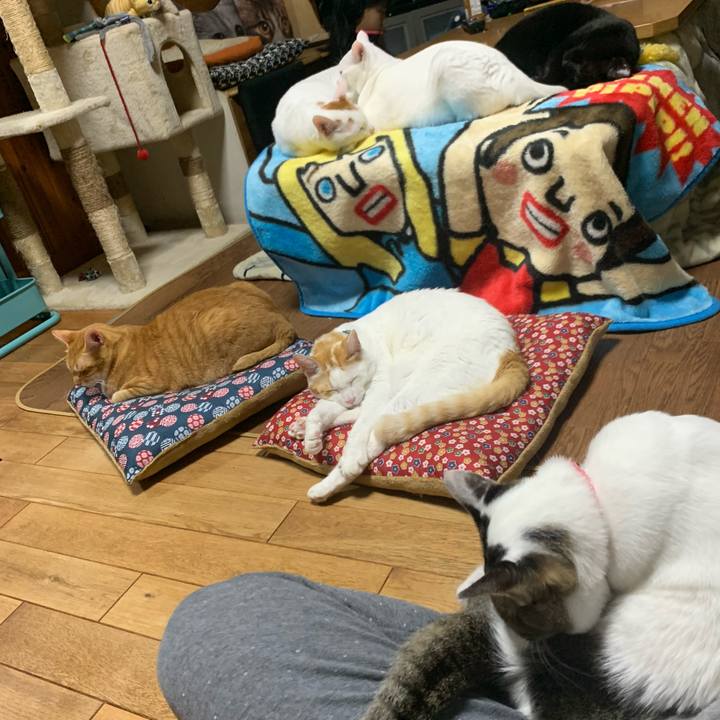 39dc38b3 f9ca 4ebf 8dac 43b1ed371d5a 1575636886088