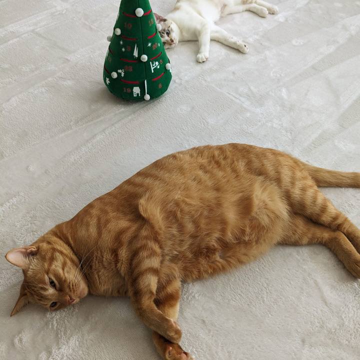 39dc42e8 2df7 4260 ab90 8d6c3d25d183 1702692756112