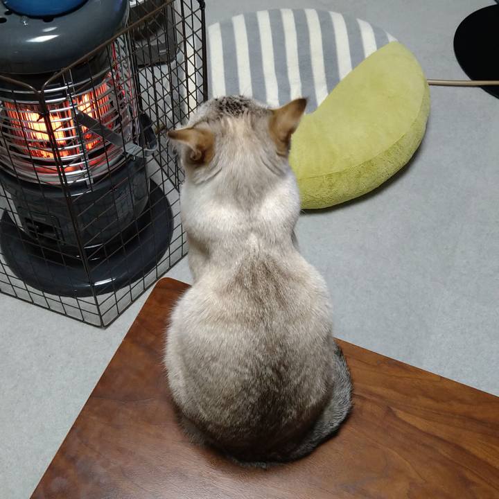 39dc5496 87fb 4bd6 850a 8a4fa0f35017 1641638135883