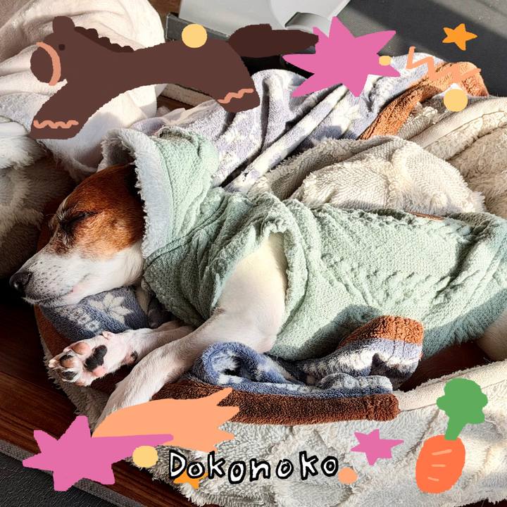 39dc5b3f 7088 4c0f 8e6d 4845ca67c2c7 1771888735673