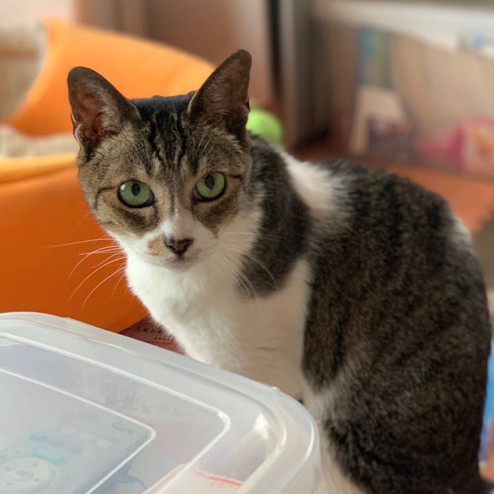 39dc5c43 1731 4b4d a3d2 164ebbe164c4 1594949696177