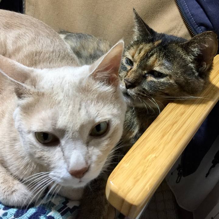 39dcc40e 2e49 4b48 bcea 92ea2b4f089f 1537008633188