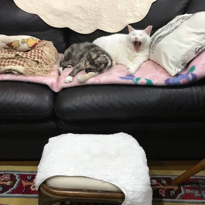 39dcee6f 6ff8 42d8 9622 522d75475f92 1604500208621