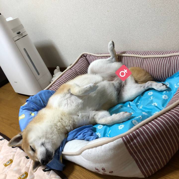 39dcf2e8 6d79 4716 8d13 943af9205dcb 1562845489491