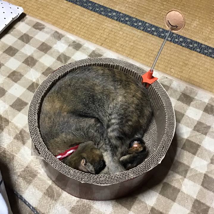 39dd1f2d 91b5 4365 80ff 7eeb8a758381 1607940429716