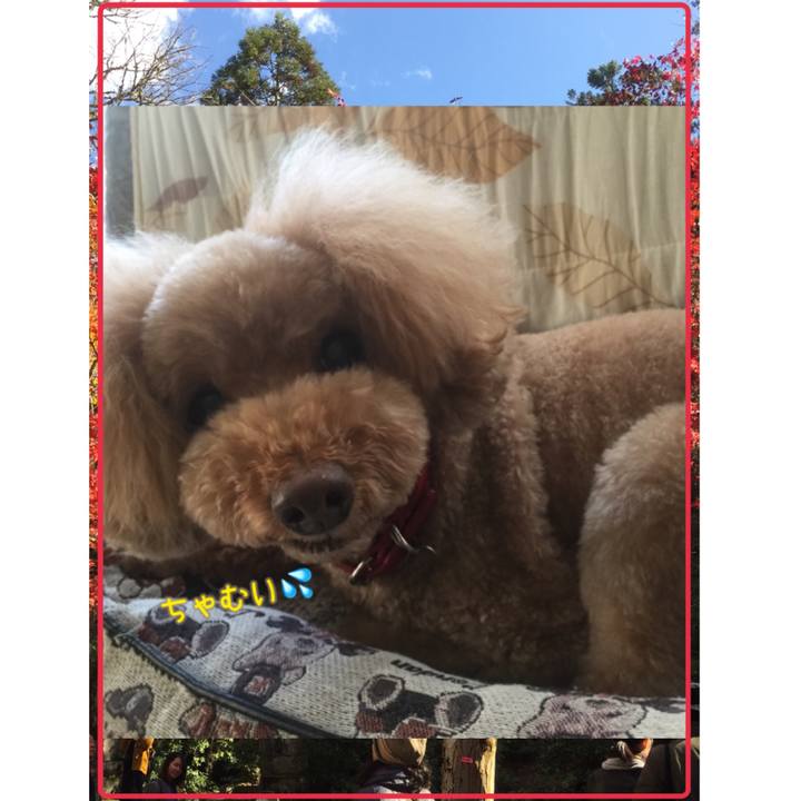 39ddb263 68dd 410d b1ec 592f09fc8fca 1538089673472