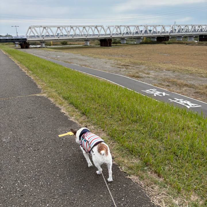 39dde2ed a4cc 4a31 9cf5 7b4f90e05b2a 1762212568324