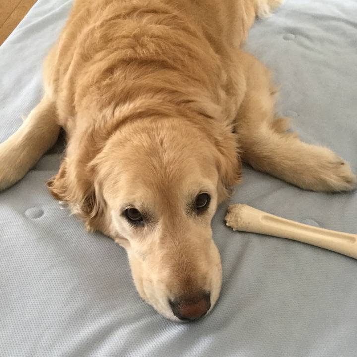 39ddf698 dbe8 419c b58f bbcea34c87ba 1527721558859