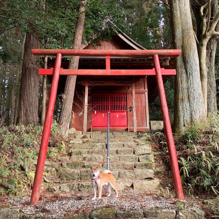 39de163c 01a6 48bf b074 9cfe1af432bd 1579338940748