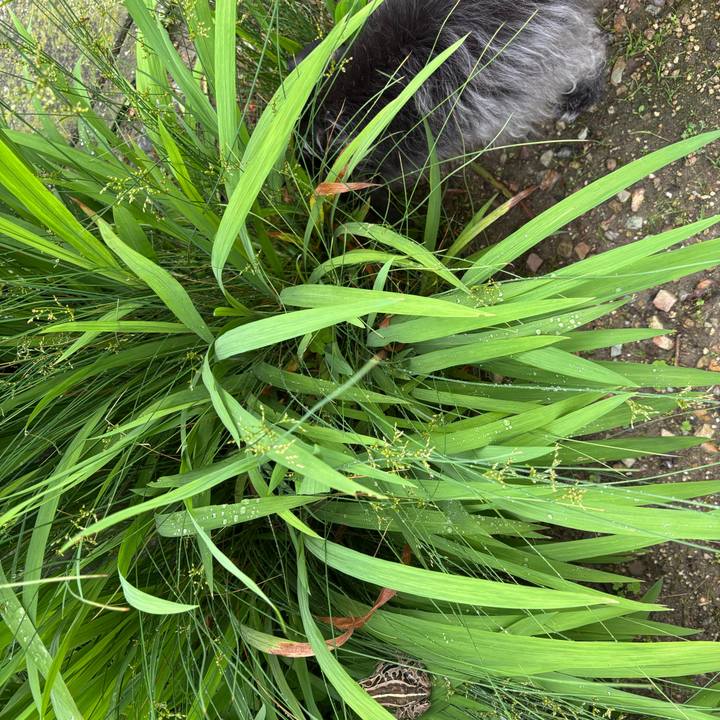 39de3ad3 7bef 4e23 9894 9dce77f83565 1747870638326