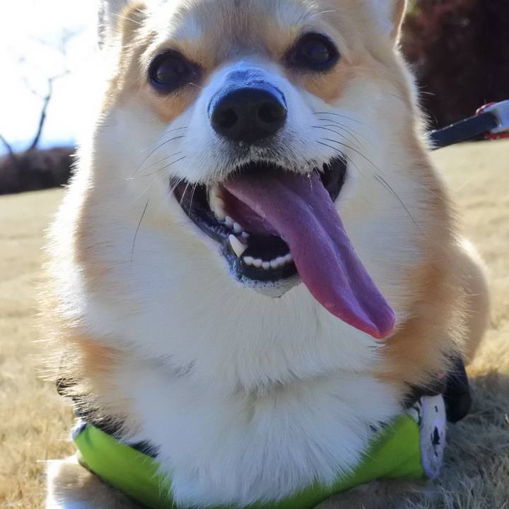 39de63fa 940c 49e4 a5b2 94335ffb8e74 1614500882142