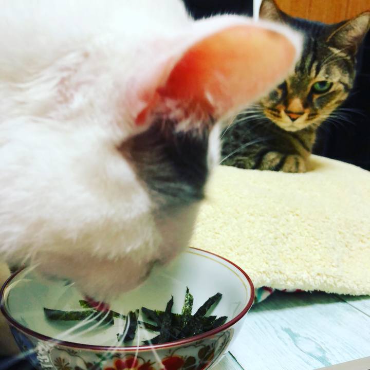 39de6705 6d17 4846 bf95 3d9a4637399b 1511365659670