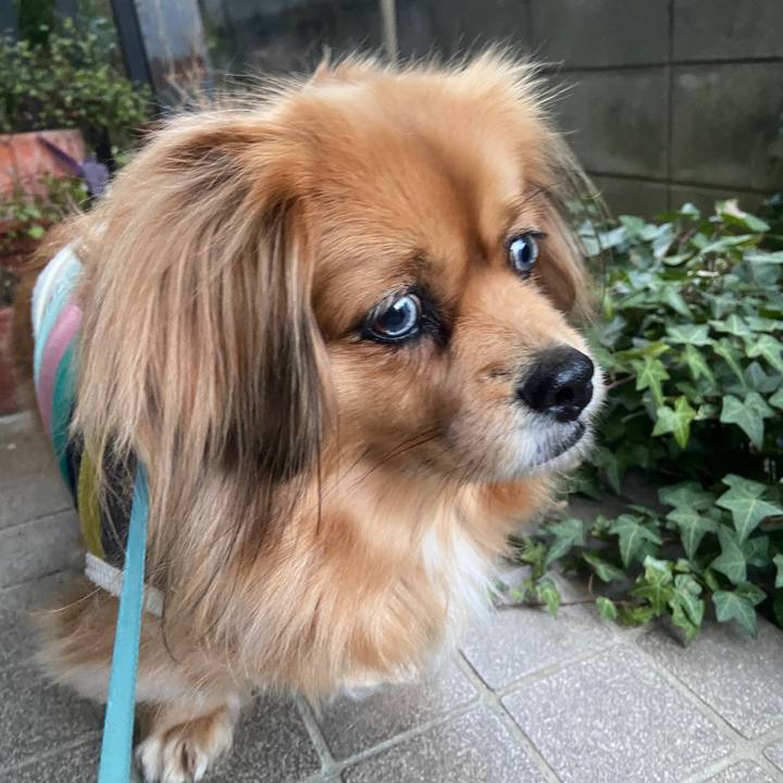 39dec4cf 2c78 49ba 9eee db28489fcccc 1645738792392