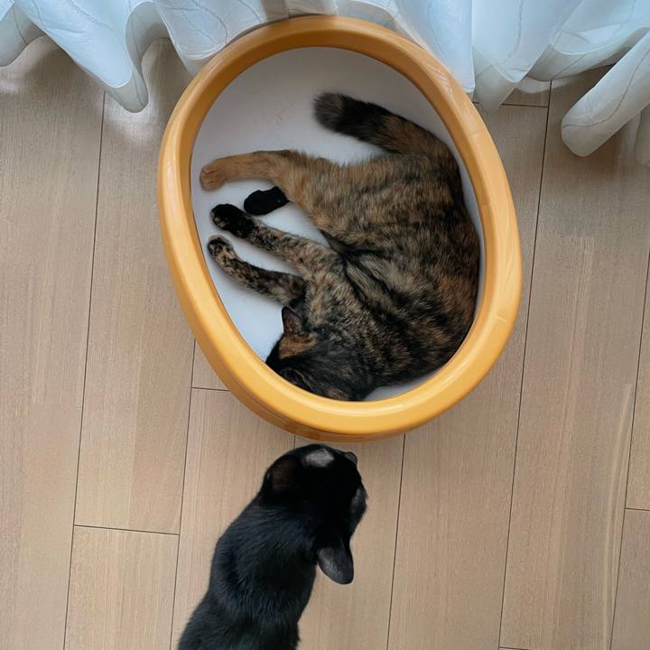 39df1de2 c0ce 4c54 ba9c 3a0f6651e50d 1662898263862