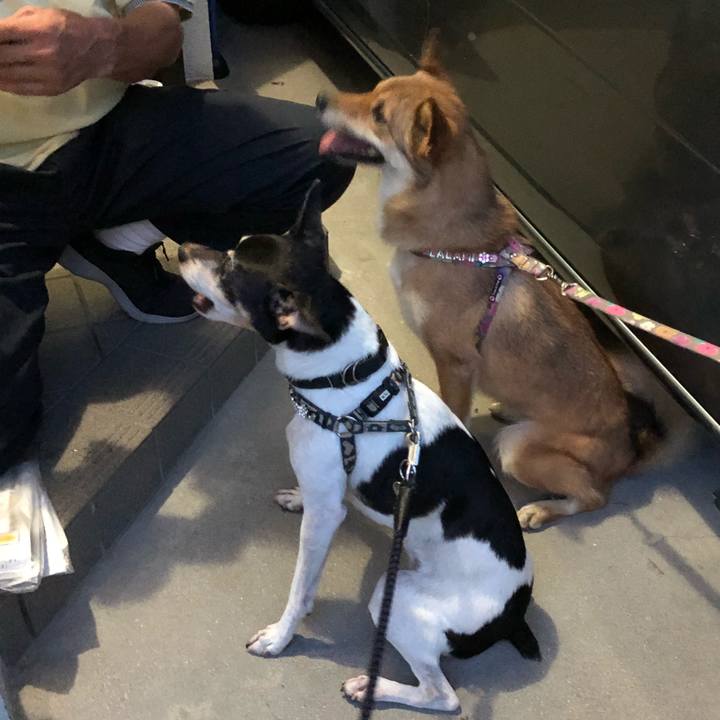 39df3229 66f4 4926 920b bc62c5f12be8 1534941360567