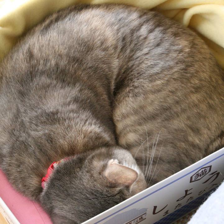 39df61b6 811b 4409 b9cf e8917c54d8a7 1512610810733