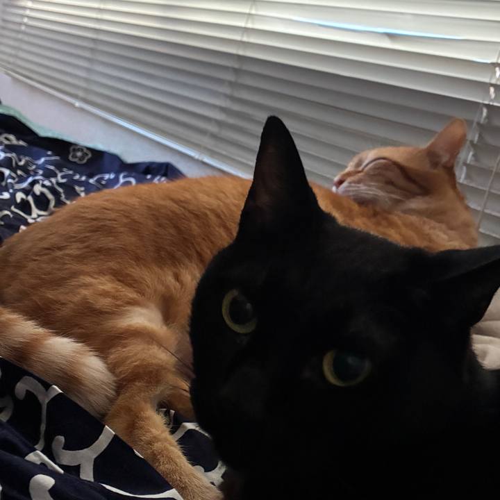 39df7e7d 10d1 4d31 ab3f ad2fd4cff664 1756673746791