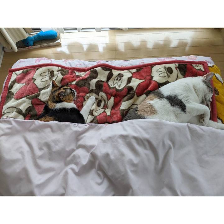 39df7eff 09d4 4dbd 8301 27ec577a0924 1684816331454