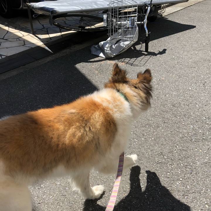 39dfa3d1 adf5 4d79 9c6c e1281831aa62 1530234000118