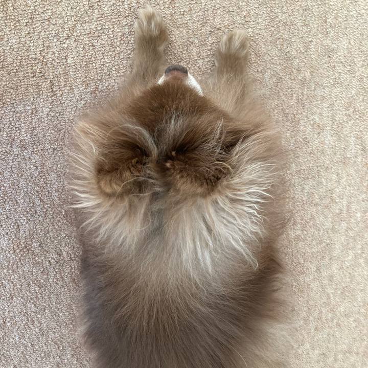 39dfb41c 4624 42e0 aa04 917cffa7c758 1707873413264