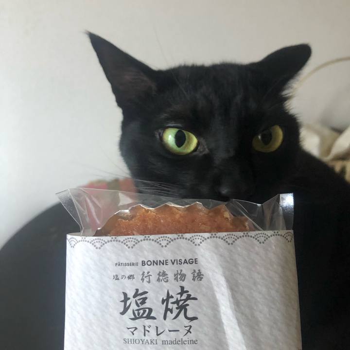 39e03896 d3d8 4897 ba46 9bb8cea6e513 1584398145292