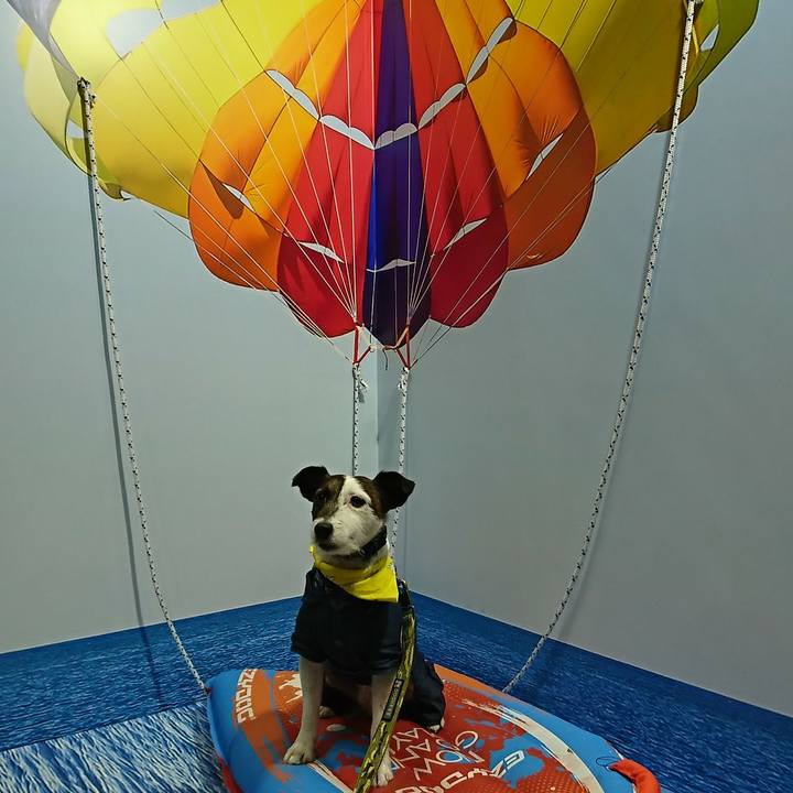 39e05696 d7e2 4a0d ab40 66db9501cd8d 1522496360173