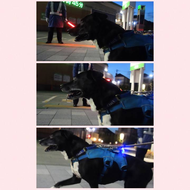 39e06c2c de2b 4dc7 8e41 159f2a7cbe03 1681730404891