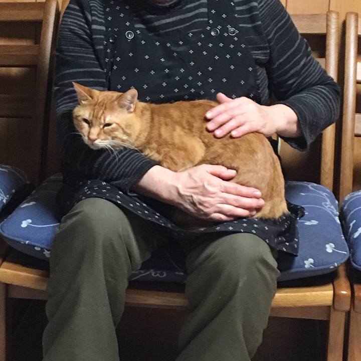 39e0771c 35db 4d66 b9d8 ee4e92a38196 1553289672879