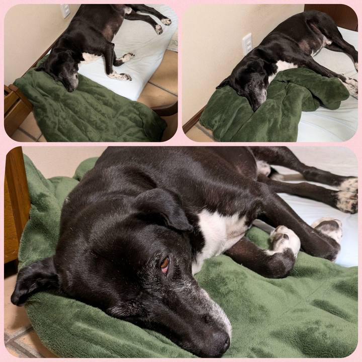 39e07fa3 d4cf 4cb6 8911 1259b5374489 1755561416994